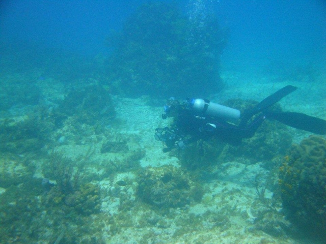 Descubre el fondo marino